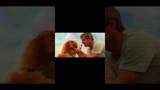 A Dogs Purpose  Edit [upl. by Spiro]