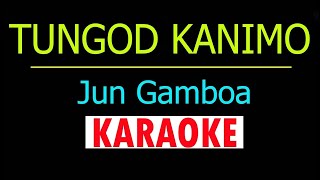 Tungod Kanimo By JUN GAMBOA Karaoke Version [upl. by Weinman]