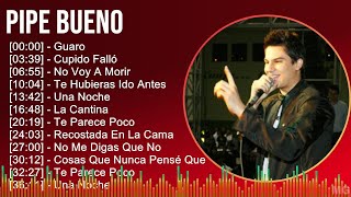 Pipe Bueno 2024 MIX Playlist  Guaro Cupido Falló No Voy A Morir Te Hubieras Ido Antes [upl. by Nicol901]