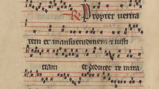 Magnus liber  Gradual «Propter veritatem» organum duplum [upl. by Auberta]