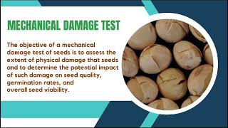 MECHANICAL DAMAGE ASSESMENT malachite green test DrSKavitha tnau coimbatore [upl. by Nadda]