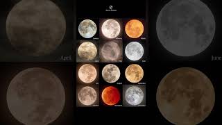 The 12 Full Moons of 2022 🌕 Captured Each and Every Month  moon space universe [upl. by Gilleod373]