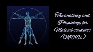 the anatomy and physiology for medical students MBBS full explain in English like and subscribe [upl. by Cristabel]