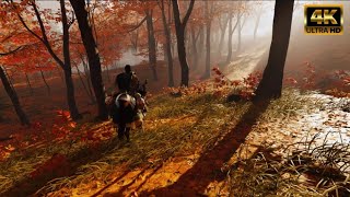 4K 60FPS  Beautiful Ride Into Woods In A Stormy Dawn  Ghost Of Tsushima  Directors Cut  asmr [upl. by Ollehcram]