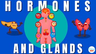 Endocrine System Glands and Hormones [upl. by Berlauda527]