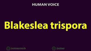 How To Pronounce Blakeslea trispora [upl. by Southard]