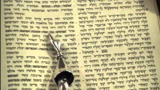 Yom Kippur Maftir Reading Rabbi Weisblum יום כפור קריאת מפטיר הרב ויסבלום [upl. by Andert633]