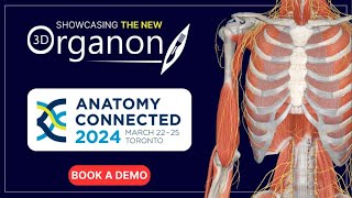 3D Organon at Anatomy Connected 2024 [upl. by Hillinck]