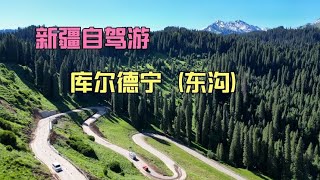 自驾新疆：东沟也很美，非常适合自驾 前往那拉提的路极具音乐感  中国旅游  中国旅游景点  中国旅游攻略  中国旅游城市  中国旅游胜地 [upl. by Atolrac492]