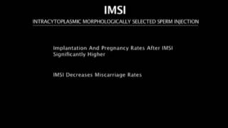 Intracytoplasmic Morphologically Selected Sperm Injection  IMSI [upl. by Yllah]