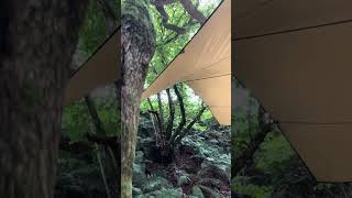 Whole Tarp as installed at Eden Project [upl. by Ahseret]