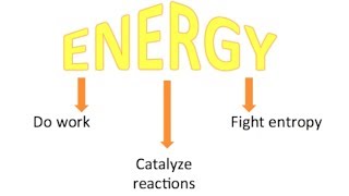 Campbells Biology Chapter 8 An Introduction to Metabolism [upl. by Katrinka558]