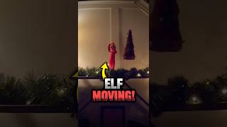 Bizarre Elf on a Shelf Caught On Camera 🤪 elf santa shorts [upl. by Ahseryt183]