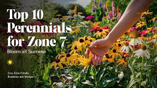 Top 10 Perennials That Bloom All Summer for Zone 7  Say Goodbye to Dull Gardens [upl. by Tem682]