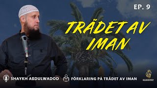 Trädet av Iman  EP 9  Shaykh Abdulwadod [upl. by Judi]