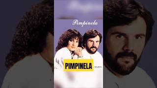 Pimpinela La Verdadera Historia de los Hermanos Que Revolucionaron la Música Romantica pimpinela [upl. by Jerrine835]