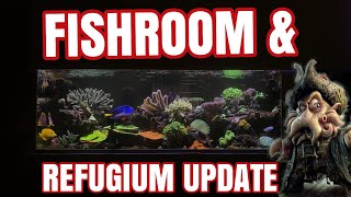 Fishroom amp Refugium Update [upl. by Brindell]