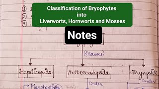 Classification of Bryophytes into Liverworts Hornworts and Mosses lifecycle priyathakur [upl. by Ia]