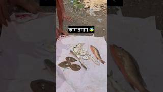 बघा कसला मावरा लागलाय 🐠🐬🦐  aagrikoli seafood redsnapper baramundi catfish saltwater [upl. by Latnahs]