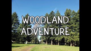 Woodland Adventure  Tiny Whoop Freestyle Old video from 2 years ago that I forgot to publish [upl. by Leinahtam]