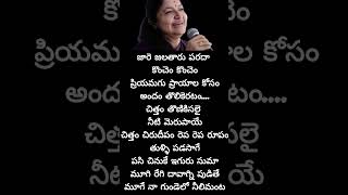 chitra gari song kannanule song lyrics in telugu [upl. by Terej695]