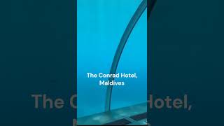 Most unique hotels in the world  Underwater hotel travel hotel [upl. by Dorsman25]