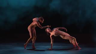 Pilobolus Come to Your Senses [upl. by Goldy]