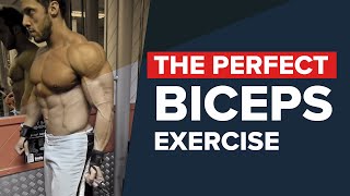 The perfect biceps exercise [upl. by Maitilde]