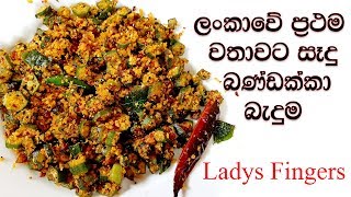 ලංකාවේ ප්‍රථම වතාවට සෑදු බණ්ඩක්කා බැදුම  bandakka thel dala recipe [upl. by Erving]