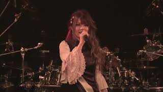 Unlucky Morpheus  SIVA Live [upl. by Ansela]