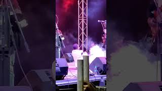 Aleck Macheso Live performance [upl. by Wier564]