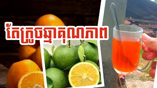 អាហារពេលព្រឹកដ៏អស្ចារ្យសម្រាប់ខ្ញុំ Great breakfast for me  Do it in a short time [upl. by Nate858]