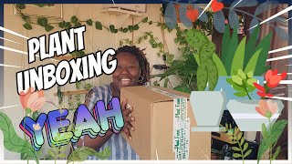 Plant Unboxing 6 These Shipped Fast [upl. by Minda]