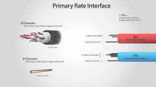 What Is PRI  Primary Rate Interface ISDN PRI [upl. by Joleen906]