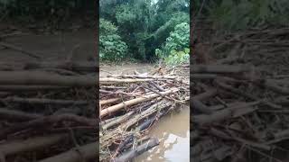 Tucker Valley Macqueripe Road in Chaguaramas earlier on Tuesday 13th August 2024 [upl. by Ahsemal672]