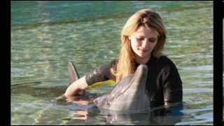 Mischa Barton photo gallery 2007 2008 [upl. by Rome393]