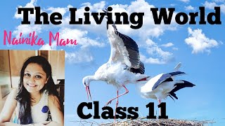 Class 11 Biology  Chapter 1  The Living World  Full Chapter  Study with Nainika [upl. by Aelem]