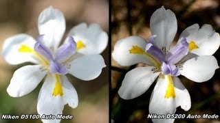 Nikon D5100 vs D5200 Auto Mode [upl. by Retloc892]