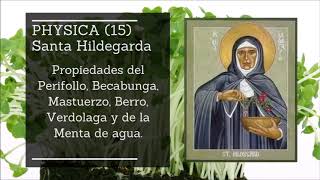 Libro de Medicina Sencilla 15 Santa Hildegarda de Bingen [upl. by Laverna]