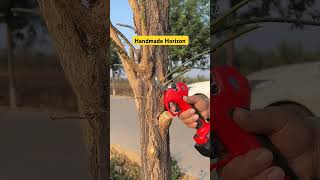 Tree Branches Cutting Process Goodtools and machinery make work easy [upl. by Eryt]