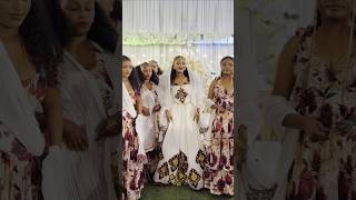 habesha wedding Rodas mizan tigray calture tiktok gereemun [upl. by Lleynad]