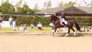 Carl Hester  Great Britain Hickstead 2014 [upl. by Oeram946]