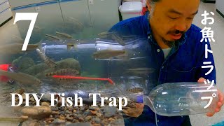 The DIY Fish Trap Episode 07 Reloading [upl. by Xino]