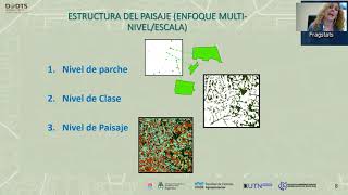 Aplicación de FRAGSTATS [upl. by Ressay]