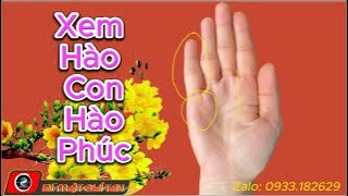 Xem tướng tay  Biết Hào Con  Hào Phúc BIMATCHITAY [upl. by Keeton]