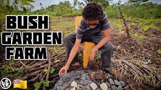 Plantation Work Clearing Land amp Planting Yams On Our TARO FARM On NIUE ISLAND [upl. by Pudens53]