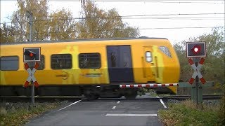 Spoorwegovergang Gildehaus D  Railroad crossing  Bahnübergang [upl. by Alyahc]