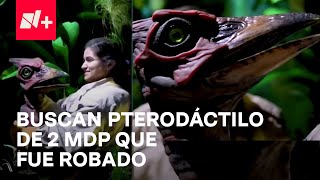 En Busca del Pterodáctilo Bebé el Robo de los 2 MDP en Perisur [upl. by Reinhart]