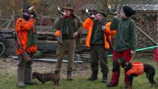 Drückjagd Treibjagd 2012 auf dem Thomashof  Karlsruhe [upl. by Sergei220]