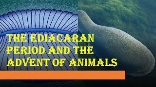 The Ediacaran Period and The First Animals [upl. by Kilby]